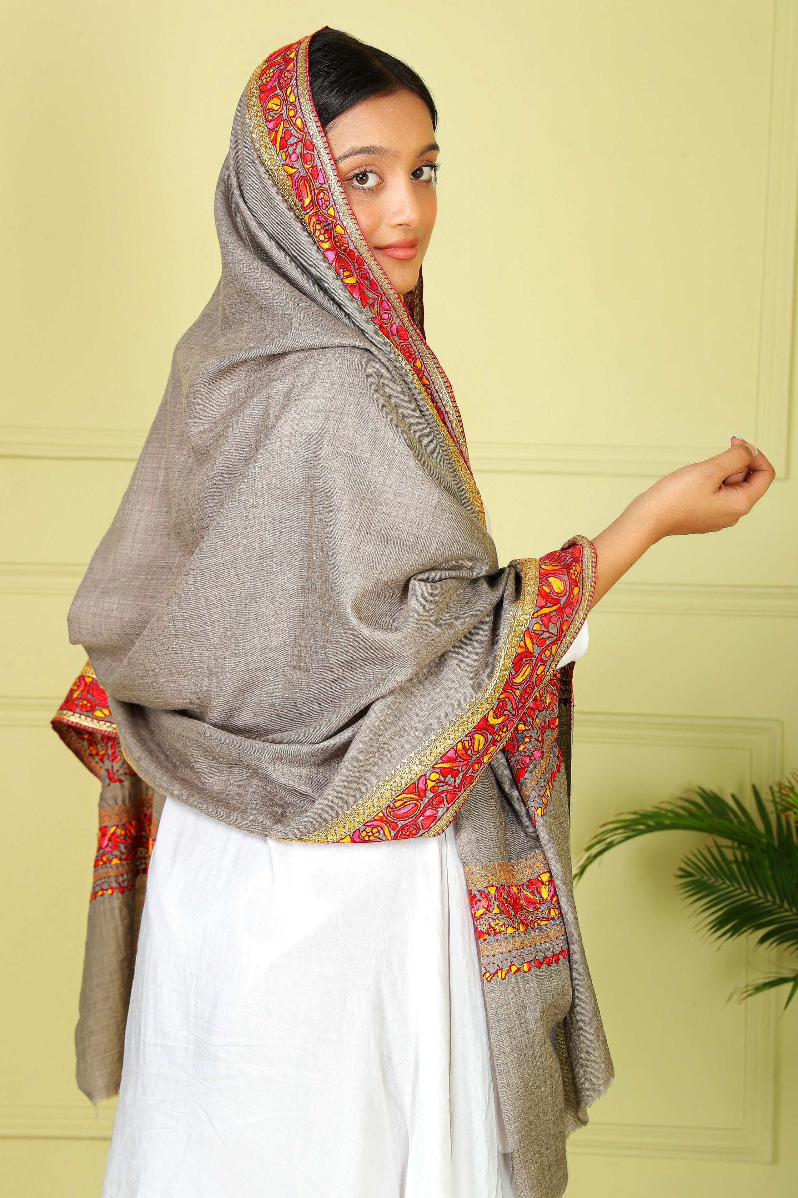 Sozni Border Kashmiri Shawl women