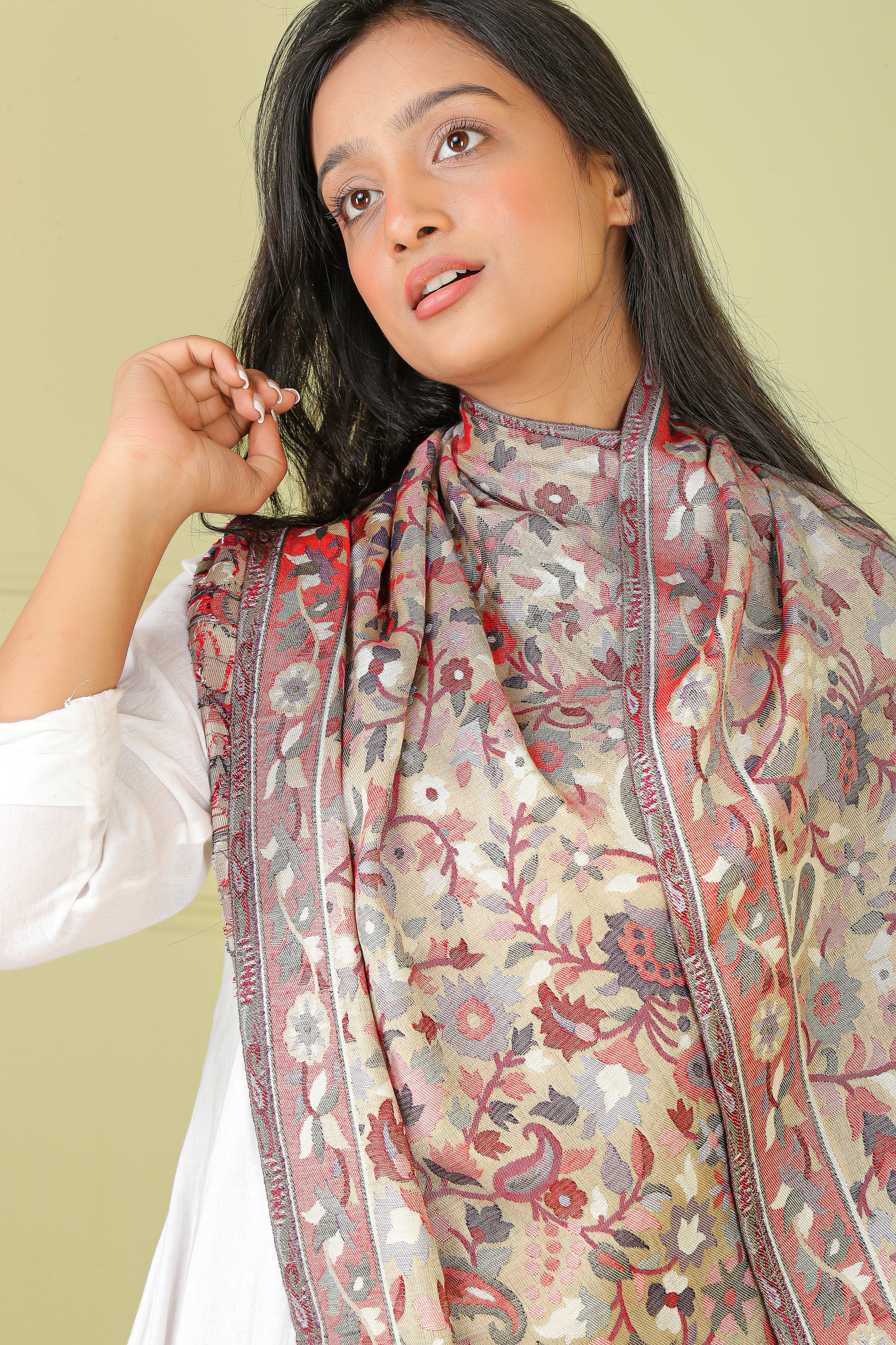 Women kani Soft touch Cholate Shawl