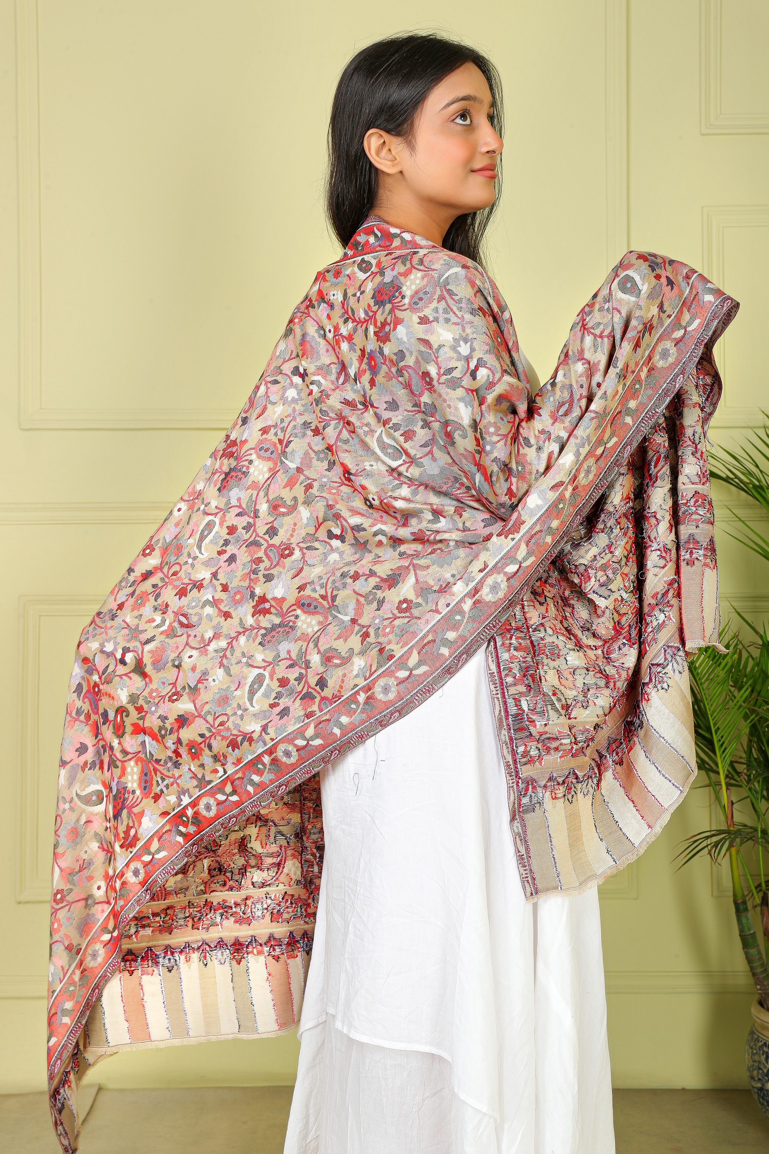 Women kani Soft touch Cholate Shawl